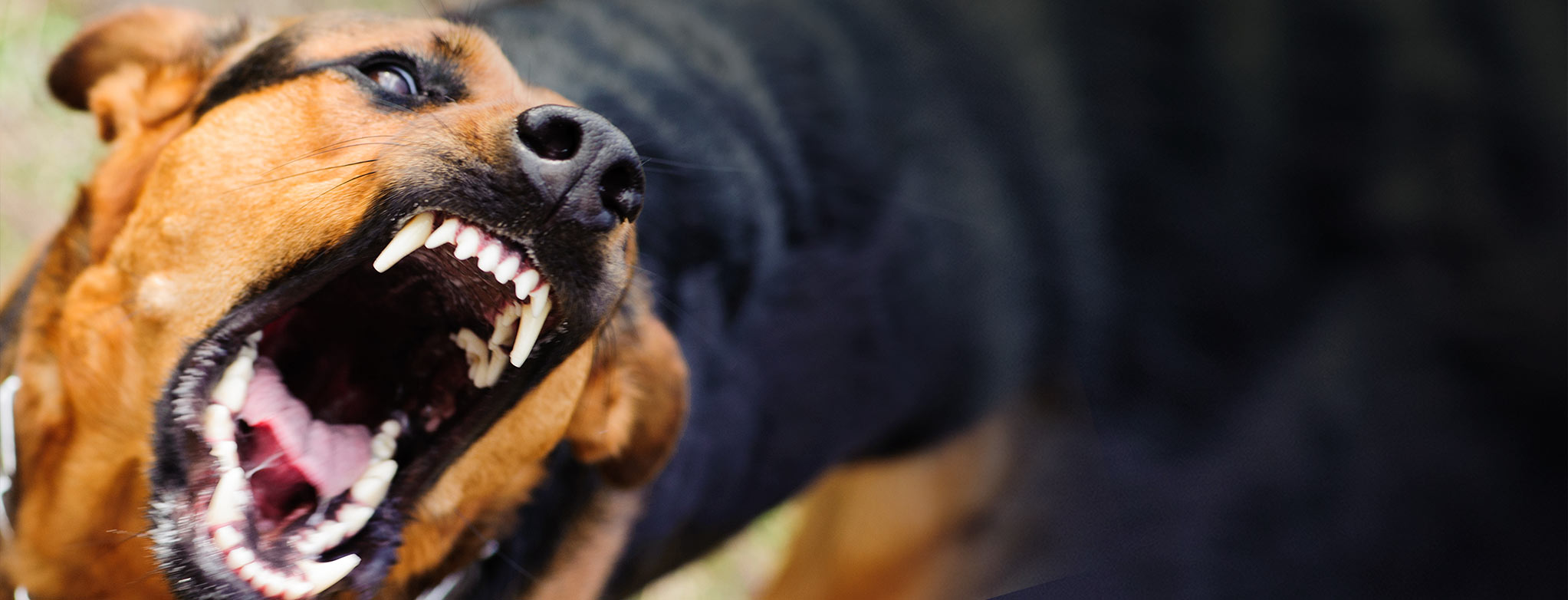 Personal Injury Attorney